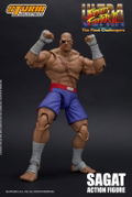 Ultra Street Fighter II The Final Challengers 1/12 Scale Pre-Painted Action Figure: Sagat thumbnail 2