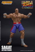 Ultra Street Fighter II The Final Challengers 1/12 Scale Pre-Painted Action Figure: Sagat thumbnail 5