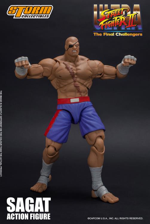 Ultra Street Fighter II The Final Challengers 1/12 Scale Pre-Painted Action Figure: Sagat image 5