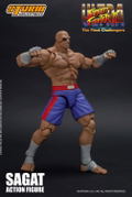 Ultra Street Fighter II The Final Challengers 1/12 Scale Pre-Painted Action Figure: Sagat thumbnail 6