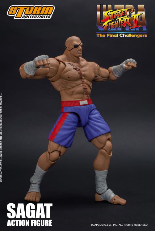 Ultra Street Fighter II The Final Challengers 1/12 Scale Pre-Painted Action Figure: Sagat image 6
