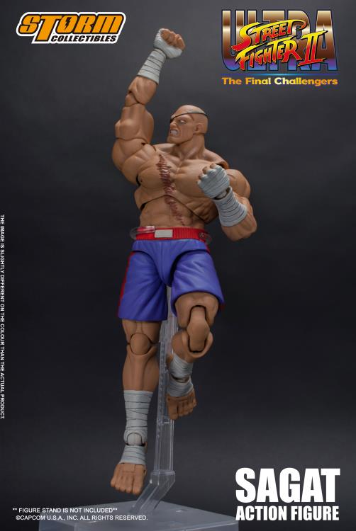 Ultra Street Fighter II The Final Challengers 1/12 Scale Pre-Painted Action Figure: Sagat image 8