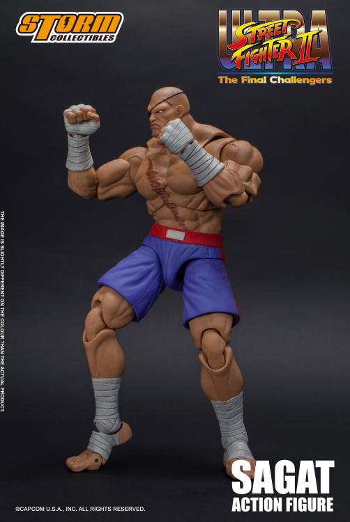 Ultra Street Fighter II The Final Challengers 1/12 Scale Pre-Painted Action Figure: Sagat image 9