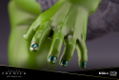 Artfx Premier Marvel Universe Avengers 1/10 Scale Pre-Painted Figure: She-Hulk thumbnail 14