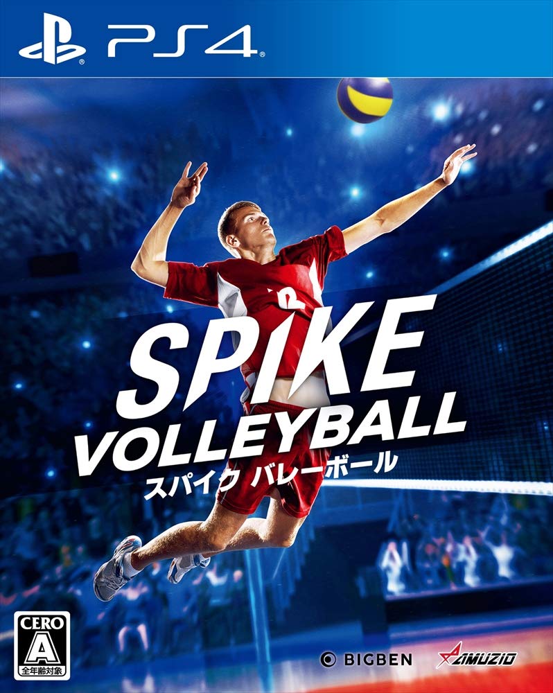 Spike Volleyball image 1