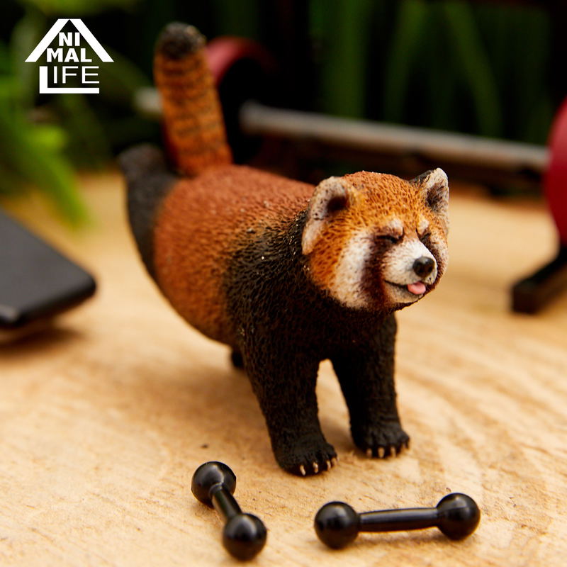 Animal Life Shaking Shaking (Set of 8 pieces) image 12