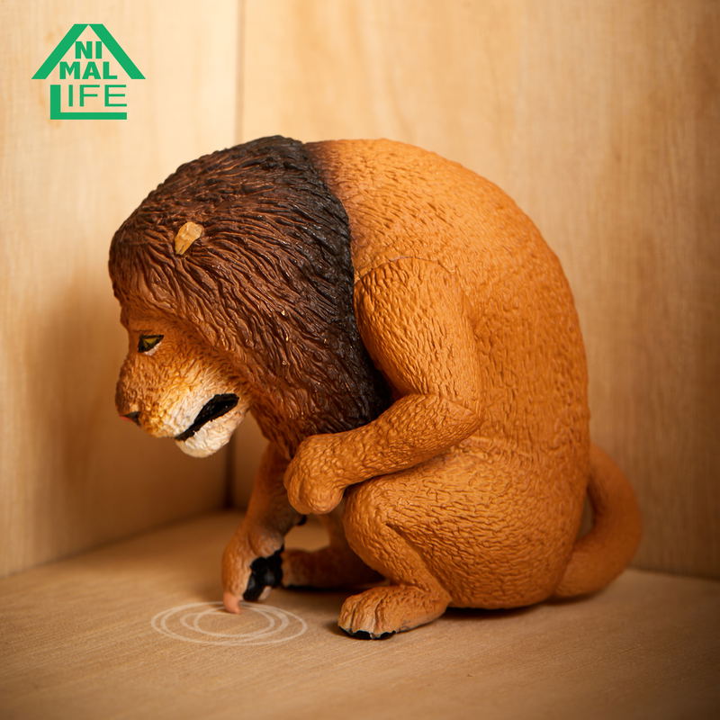 Animal Life Tears (Set of 8 pieces) image 11