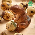 Animal Life Tears (Set of 8 pieces) thumbnail 12