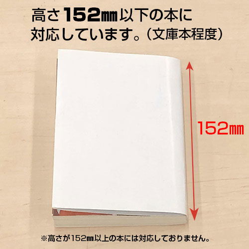 Bloom Into You - Fujishiro Bookstore Book Cover image 4