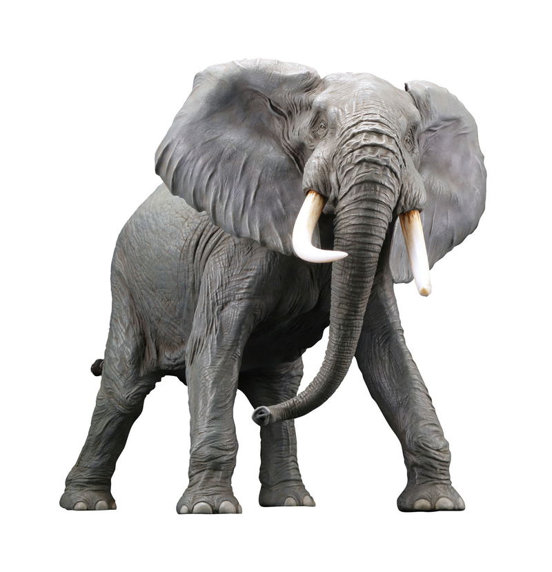 Mega Sofubi Advance MSA-018: African Elephant Redecorate Ver. image 1