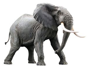 Mega Sofubi Advance MSA-018: African Elephant Redecorate Ver.