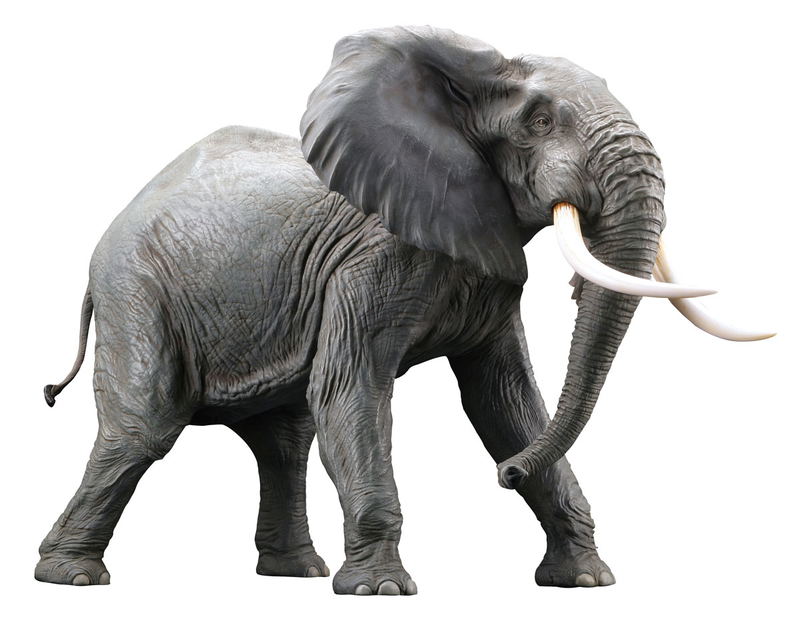 Mega Sofubi Advance MSA-018: African Elephant Redecorate Ver. image 2