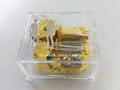Run With The Wind Music Box (Music: Catch up, Latency) thumbnail 1
