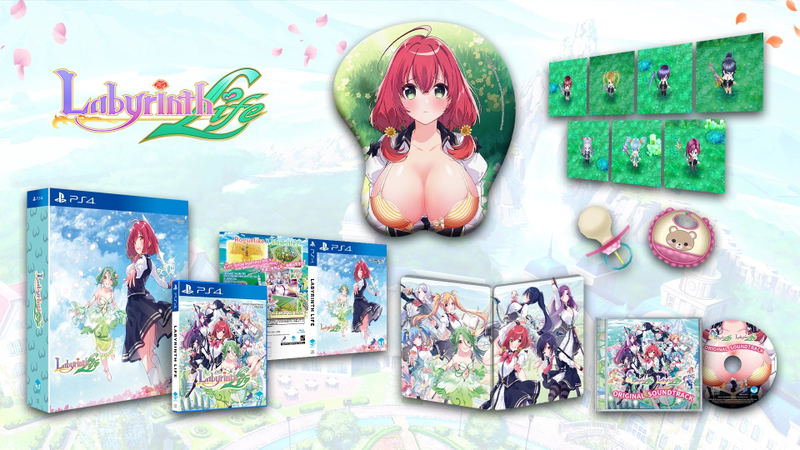 Labyrinth Life [Limited Edition] (Multi-Language) image 1