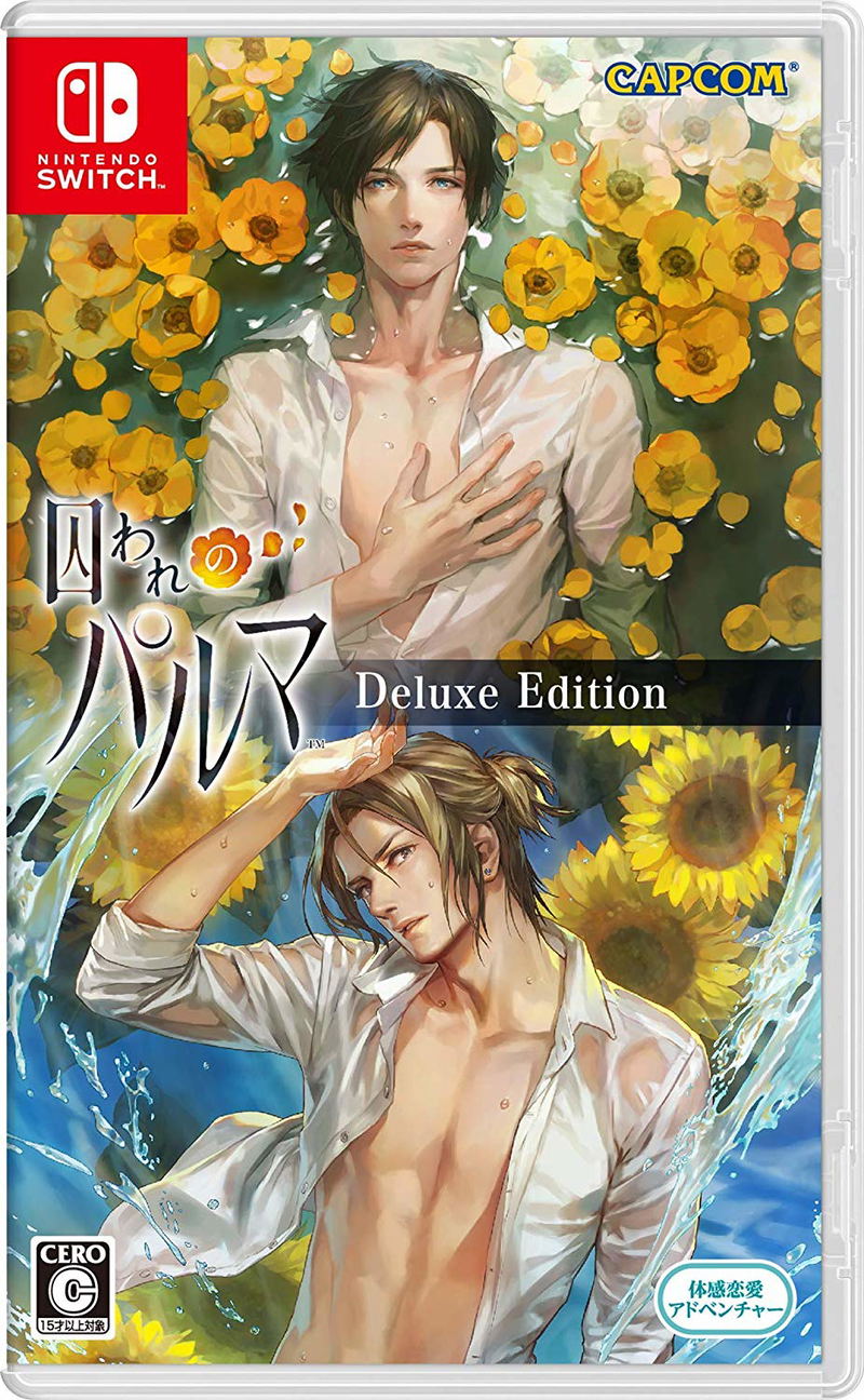 Towaware no Palm (Deluxe Edition) image 1