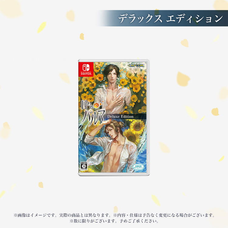 Towaware no Palm (e-Capcom Limited Edition) image 2