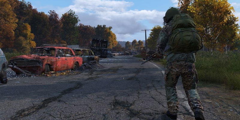 DayZ image 10