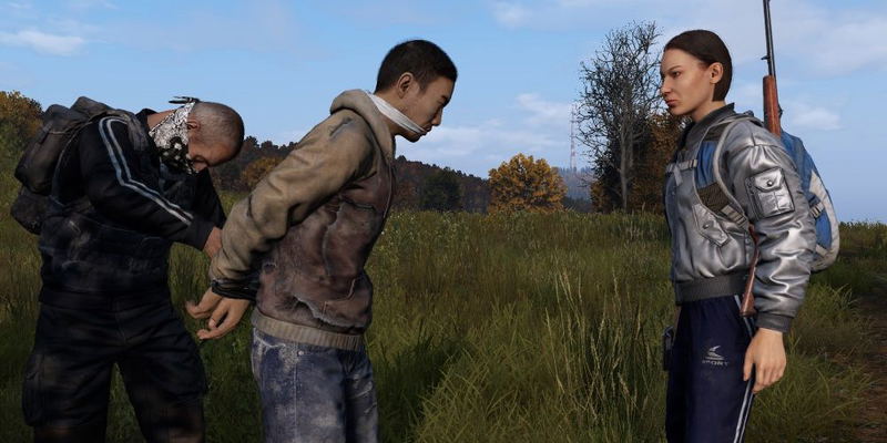 DayZ image 12