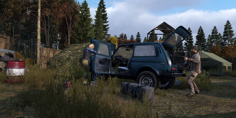 DayZ image 3