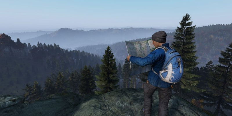 DayZ image 7