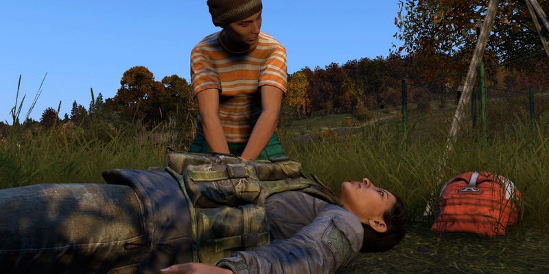 DayZ image 9