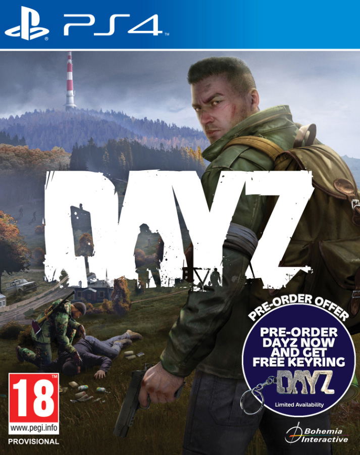 DayZ image 1