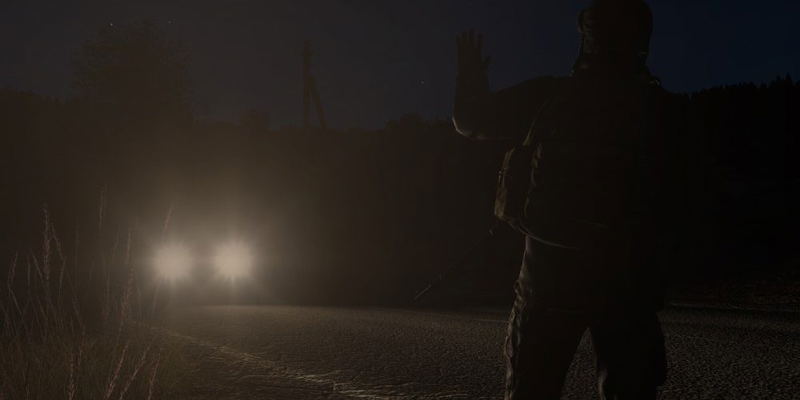 DayZ image 4