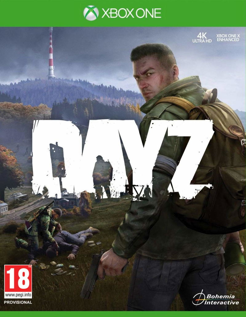 DayZ image 1