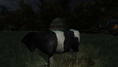 The Cows Are Watching <span class="ext" style="background-color: #2a475e; color: #FFFFFF;">STEAM</span> <span class="ext ext_digital">digital</span> thumbnail 2