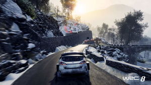 WRC 8 FIA World Rally Championship_