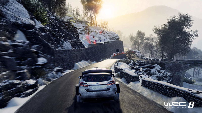 WRC 8 FIA World Rally Championship image 9