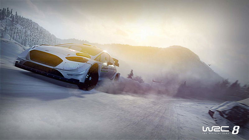 WRC 8 FIA World Rally Championship image 7