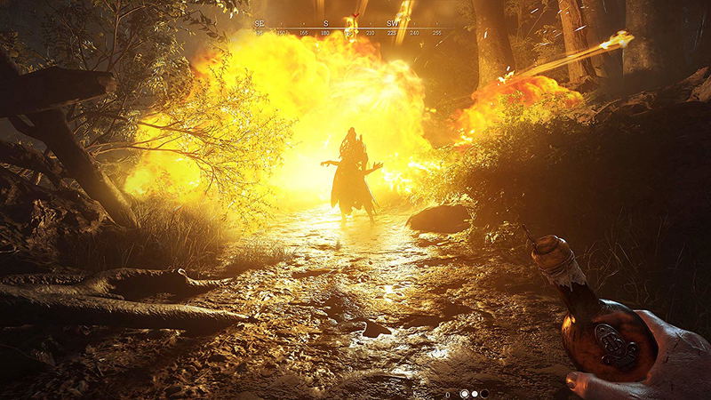 Hunt: Showdown image 3