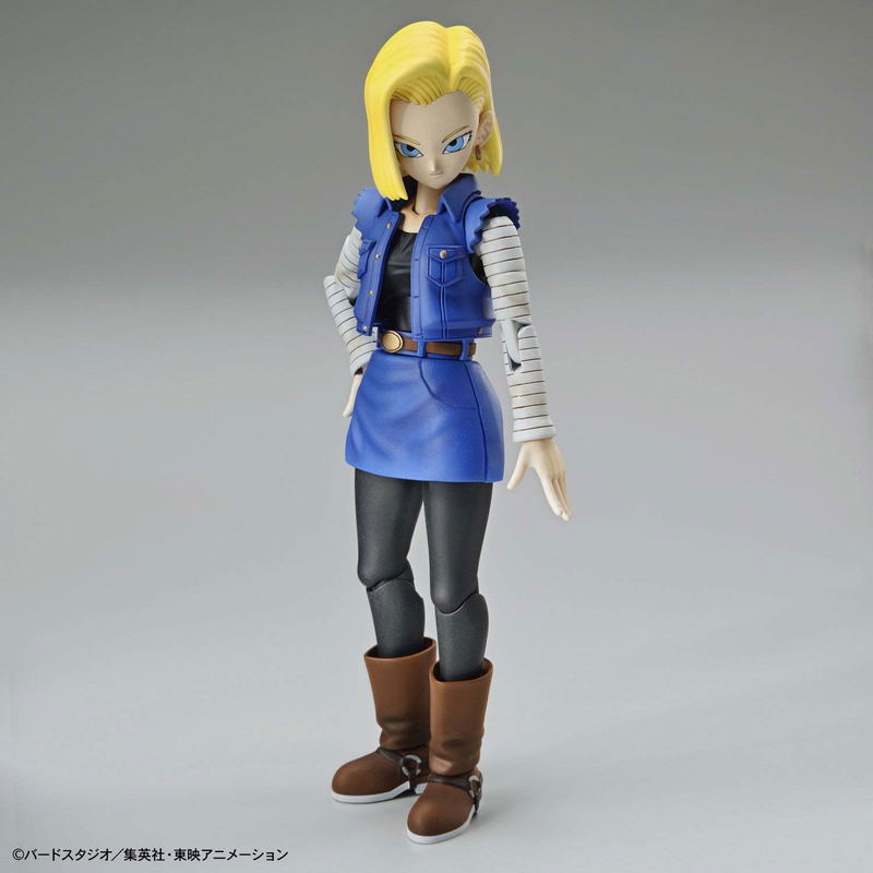 Figure-rise Standard Dragon Ball Z: Android 18 Renewal Ver. image 4