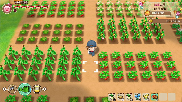 STORY OF SEASONS: Friends of Mineral Town image 2