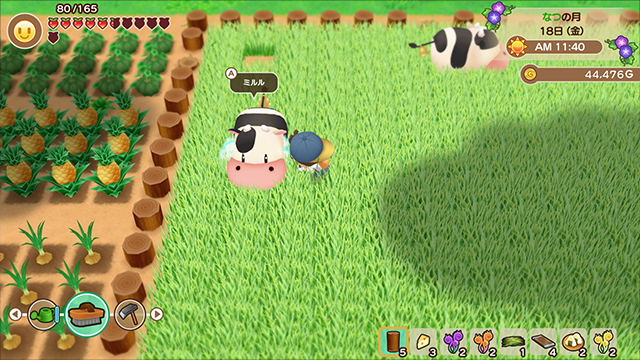 STORY OF SEASONS: Friends of Mineral Town image 3