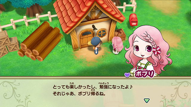 STORY OF SEASONS: Friends of Mineral Town image 5