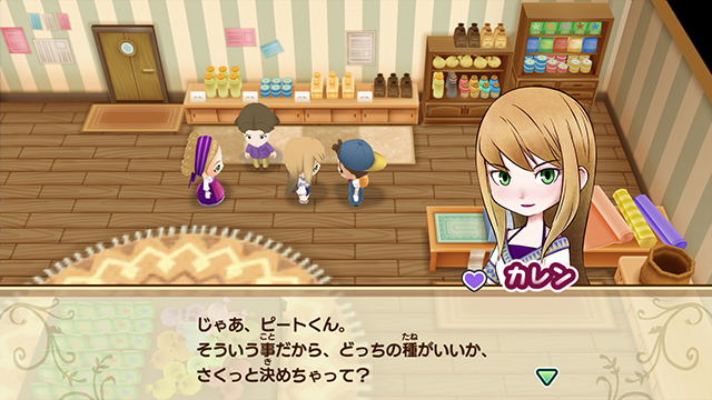 STORY OF SEASONS: Friends of Mineral Town image 6