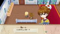 STORY OF SEASONS: Friends of Mineral Town thumbnail 8