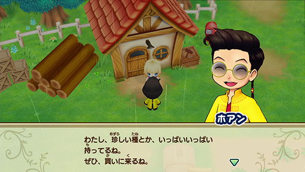 STORY OF SEASONS: Friends of Mineral Town image 10