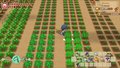 STORY OF SEASONS: Friends of Mineral Town thumbnail 9