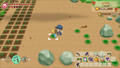 STORY OF SEASONS: Friends of Mineral Town thumbnail 10
