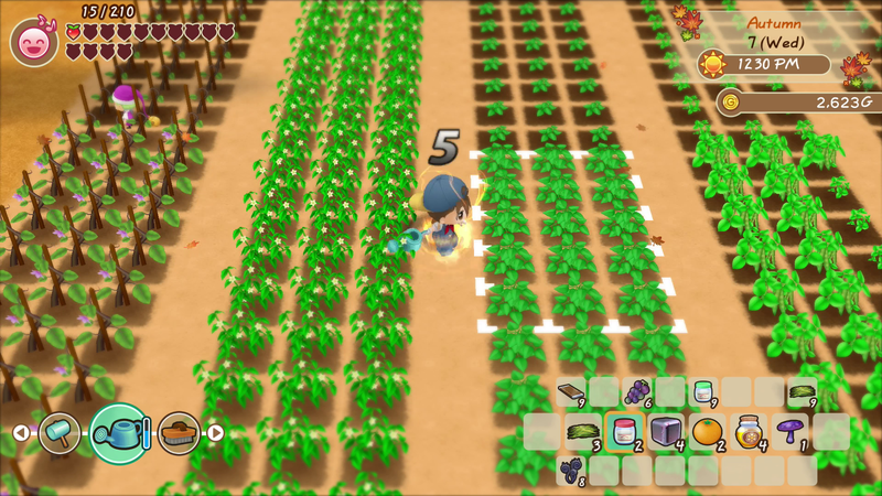 STORY OF SEASONS: Friends of Mineral Town image 11