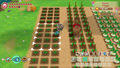 STORY OF SEASONS: Friends of Mineral Town thumbnail 12