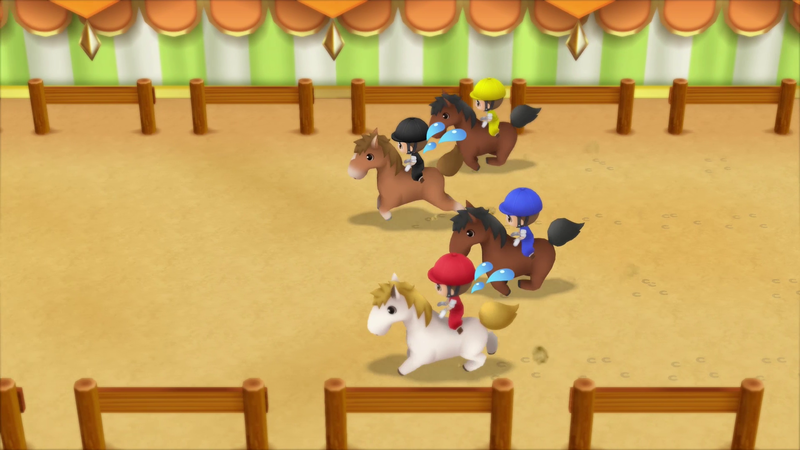 STORY OF SEASONS: Friends of Mineral Town image 14
