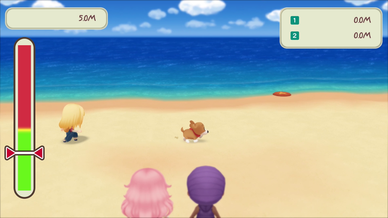 STORY OF SEASONS: Friends of Mineral Town image 20