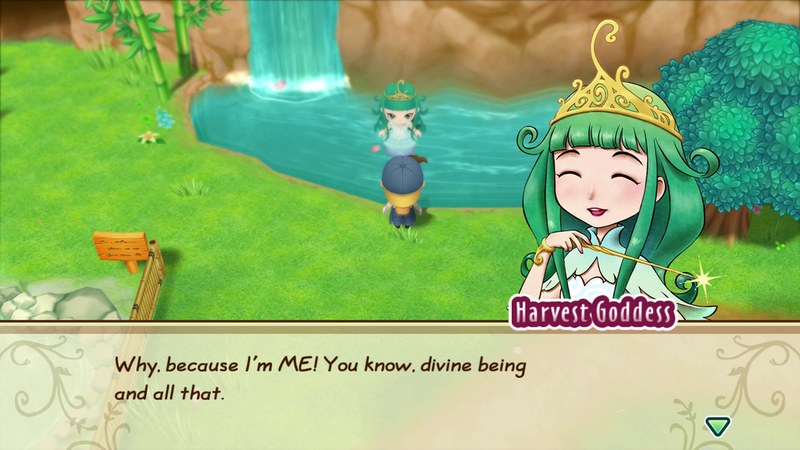 STORY OF SEASONS: Friends of Mineral Town image 2