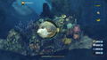 Depth Hunter 2: Scuba Kids - Hidden Treasures (DLC) <span class="ext" style="background-color: #2a475e; color: #FFFFFF;">STEAM</span> <span class="ext" style="background-color: #B0000F; color: #FFFFFF;">DLC</span> <span class="ext ext_digital">digital</span> thumbnail 2