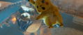 Pokemon: Detective Pikachu [4K Ultra HD Blu-ray] thumbnail 2