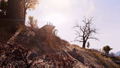 Fallout 76 <span class="ext ext_digital">digital</span> thumbnail 6